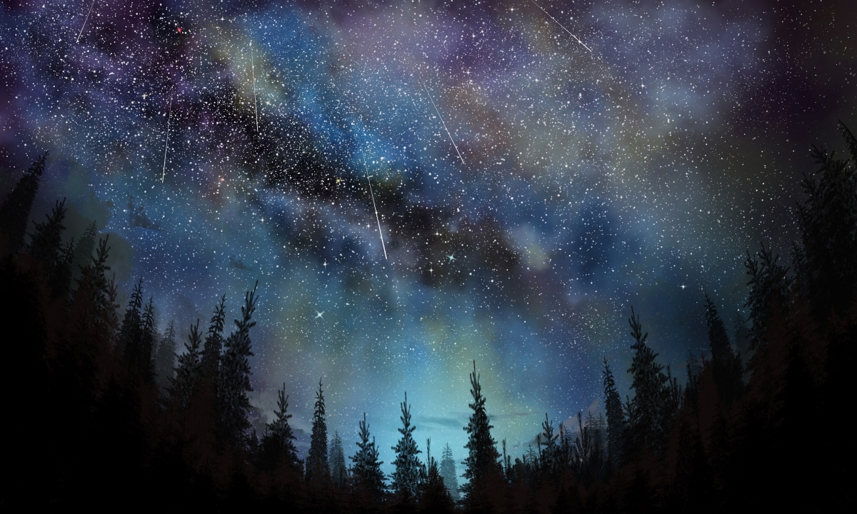 星空 星夜 流星 树林 星空4k壁纸