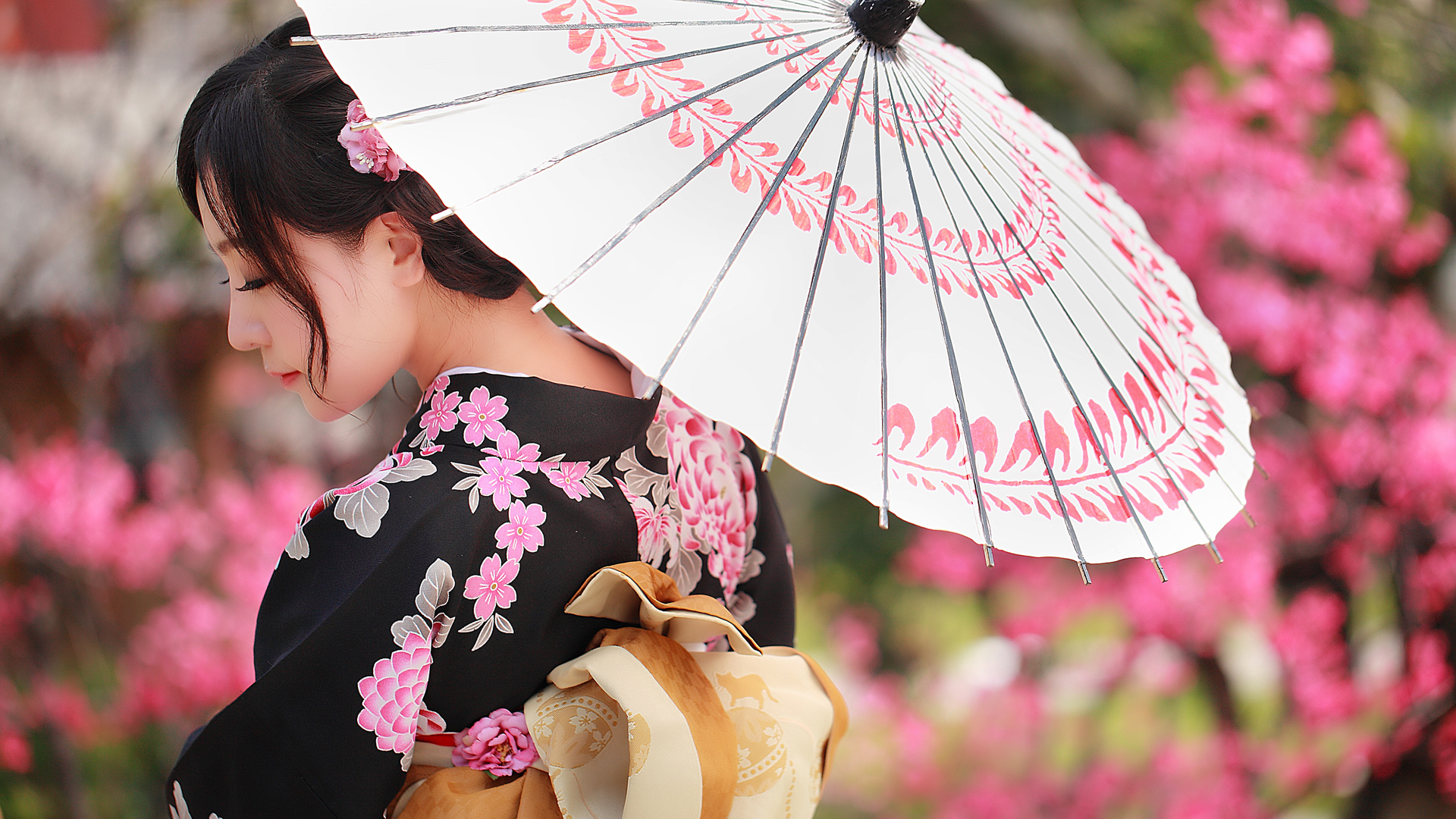 和服 伞 樱花 日本美女桌面壁纸