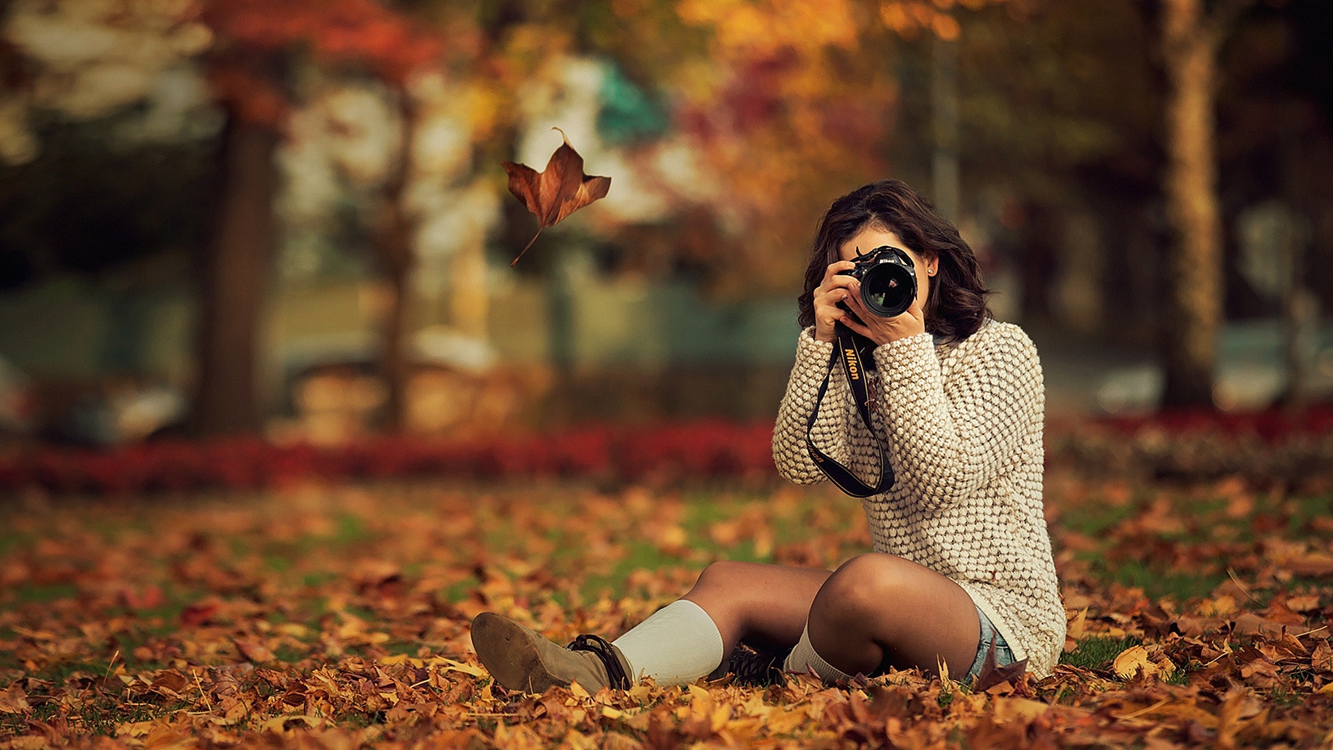 黄色的秋天 树叶 树木 公园 坐在地上的女孩  拍照 桌面壁纸